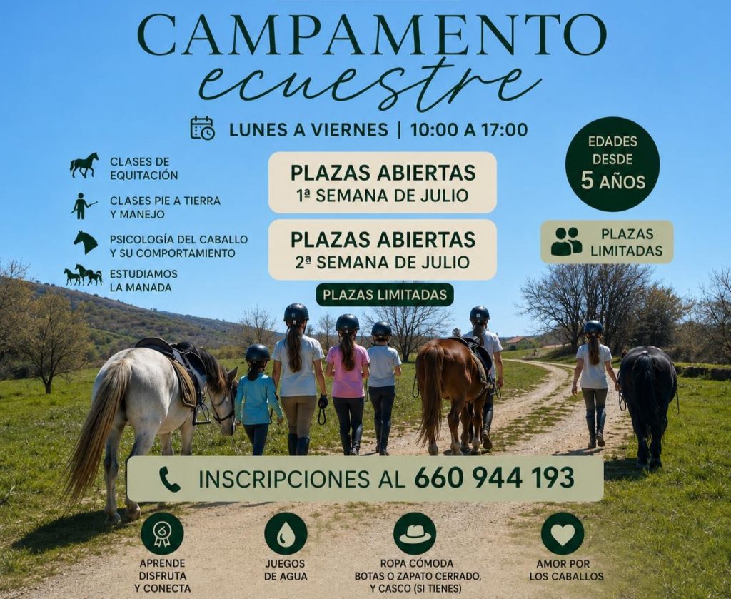 campamento de verano centro ecuestre